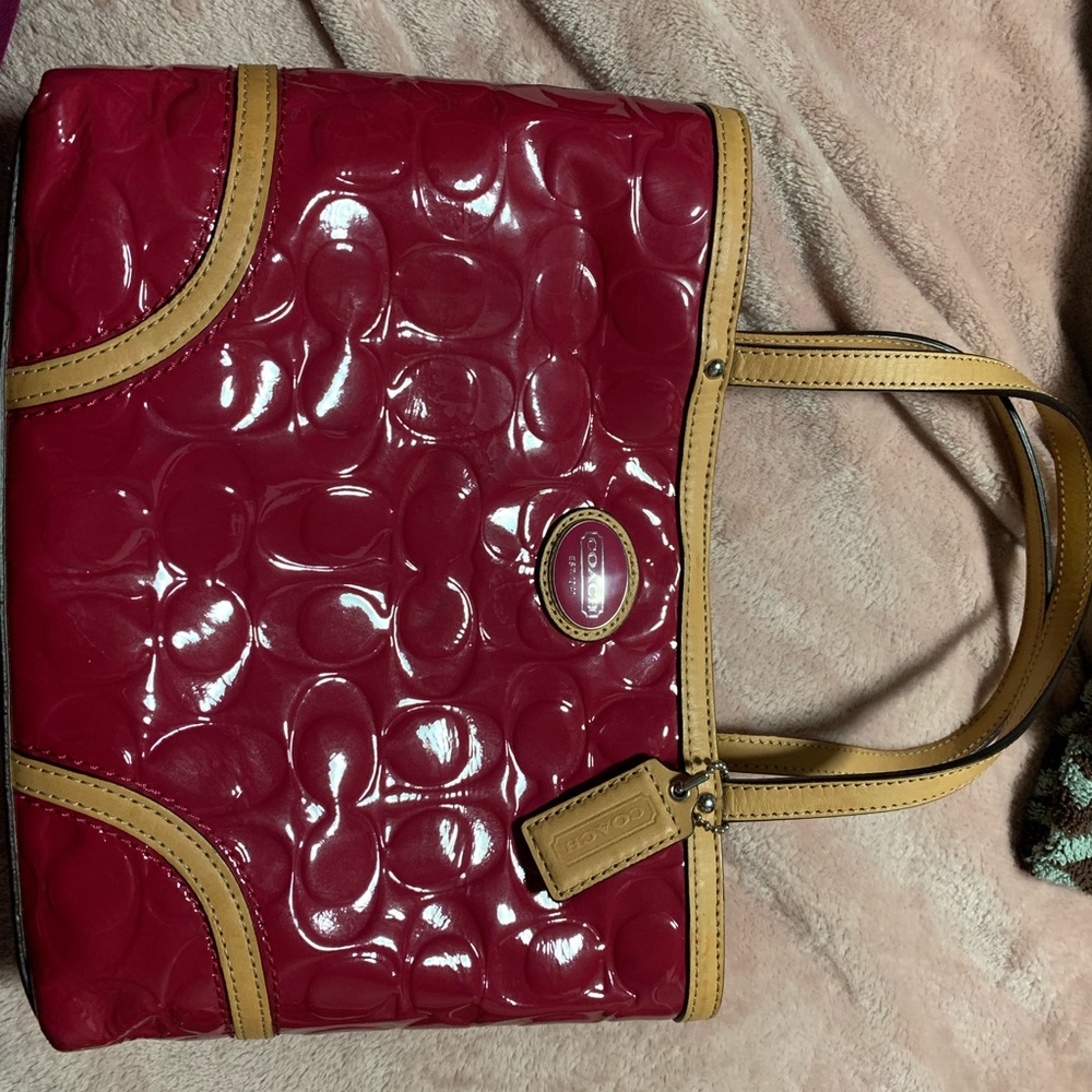 Small COACH purse